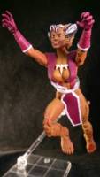 Feral V3 (Marvel Legends) Custom Action Figure