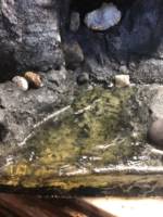 Gollum's Cave (Lord of the Rings) Custom Action Figure