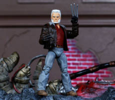 Old Man Logan (Marvel) Custom Action Figure