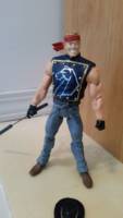 Stallion (DC Universe) Custom Action Figure