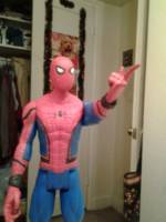 Spider-Man (Updated) (Marvel) Custom Action Figure