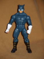 Wildcat (DC Universe) Custom Action Figure