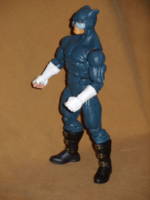 Wildcat (DC Universe) Custom Action Figure