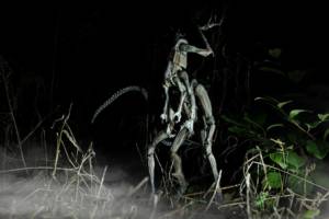 Modermorph (Aliens) Custom Action Figure