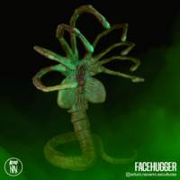 Facehugger (Aliens) Custom Statue / Bust [Facehugger 3]