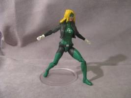 Green Lantern Black Canary (DC Infinite Heroes) Custom Action Figure
