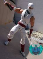 Storm shadow (G.I. Joe) Custom Action Figure