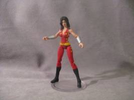 Donna Troy (DC Infinite Heroes) Custom Action Figure