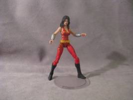 Donna Troy (DC Infinite Heroes) Custom Action Figure
