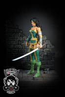 Chesire (DC Universe) Custom Action Figure