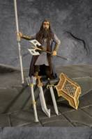 Borin, son of Nàin II (Lord of the Rings) Custom Action Figure