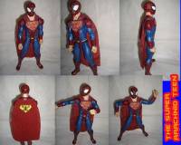 The Super Arachnid Teen UPDATED (Amalgam) Custom Action Figure