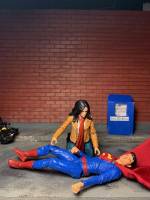 Lois Lane Elizabeth Tulloch CW (Crisis on Infinite Earths) (Supergirl)(Superman) (Superman) Custom Action Figure