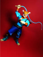 Tygra MOTUC (Thundercats) Custom Action Figure