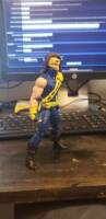 Cyclops (Age of Apocalypse) (Marvel Legends) Custom Action Figure