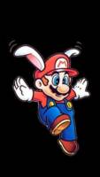 Bunny Mario (Super Mario Bros) Custom Action Figure