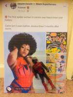 Nubian Spider-woman (Spider-Man) Custom Action Figure