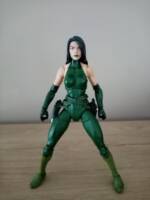 Madame hydra (Marvel Legends) Custom Action Figure