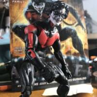 Curtaincall Nightwing (Batman) Custom Action Figure