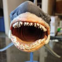 Jaws great white shark (Jaws) Custom Statue / Bust