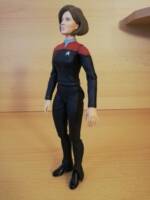 Captain Janeway (Star Trek: Voyager) - DST (Star Trek) Custom Action Figure