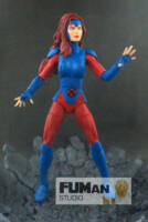 Marvel Legends Jean Grey (Marvel Legends) Custom Action Figure