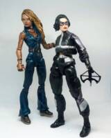 Huntress (Birds of Prey Movie) (DC Universe) Custom Action Figure [Huntress and Black Canary]