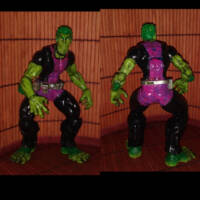 Beast Boy (Teen Titans) (Marvel Legends) Custom Action Figure