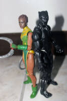 Nakia (MCU) (Marvel Legends) Custom Action Figure [Malice and her King.]