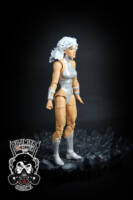 Dream Girl (Legion of Superheroes) Custom Action Figure