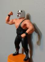 The Masked Superstar (Wrestling) Custom Action Figure