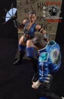 Kitana - Mortal Kombat: Deadly Alliance (Mortal Kombat) Custom Action Figure