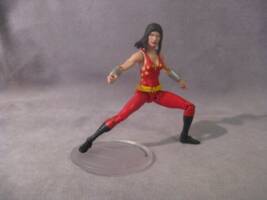 Donna Troy (DC Infinite Heroes) Custom Action Figure