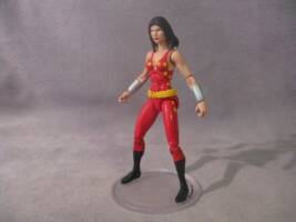 Donna Troy (DC Infinite Heroes) Custom Action Figure