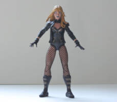 Black Canary (DC Universe) Custom Action Figure