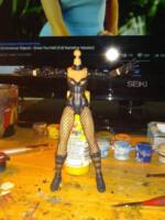 Black Canary (DC Universe) Custom Action Figure
