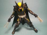 Dark Claw (Amalgam) Custom Action Figure