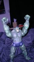 Abomination v.1 (Incredible Hulk) Custom Action Figure