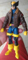 Morph - AoA and TAS blend (Marvel Legends) Custom Action Figure