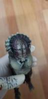 bad blood (Predator) Custom Action Figure