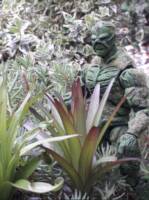 Swamp Thing (DC Universe) Custom Action Figure