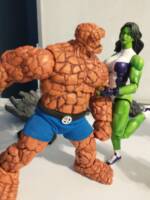 She-hulk (Frank Cho) (Marvel Legends) Custom Action Figure [Best friends.]
