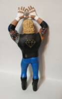 Diamond Dallas Page (Wrestling) Custom Action Figure