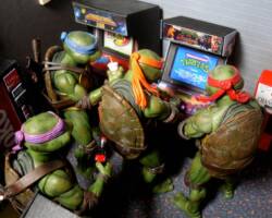 Teenage Mutant Ninja Turtles: The Arcade Game (Teenage Mutant Ninja Turtles) Custom Other