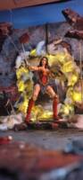 Wonder Woman and her Amazon Army (DC Multiverse) Custom Action Figure