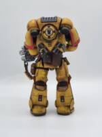 Imperial Fist Space Marine (Warhammer) Custom Action Figure