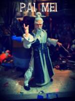 Pai Mei (Kill Bill) Custom Action Figure