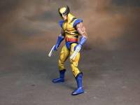 Wolverine (Marvel Universe) Custom Action Figure