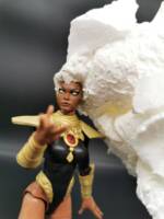 Storm (Hellfire Gala 2021) (Marvel Legends) Custom Action Figure