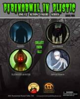 Mothman of Point Pleasant (Original) Custom Action Figure